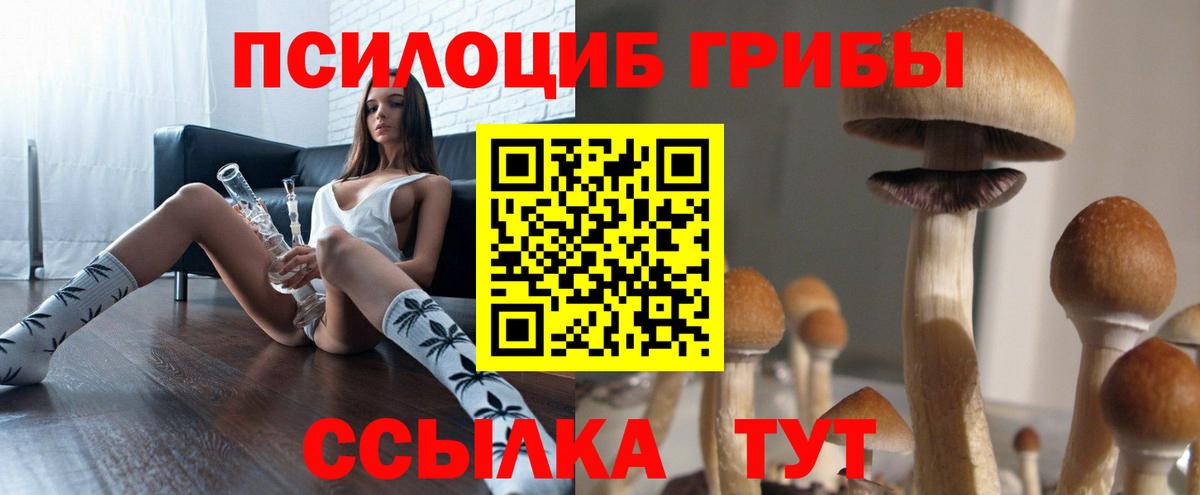Псилоцибиновые грибы мицелий  Вход с VPN  Псилоцибиновые грибы ЛСД  Топки 